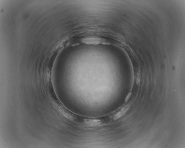 X0000066110476200603101210