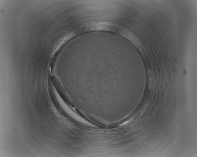 X0000066110482200603101210