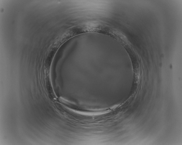 X0000066110503200603101209