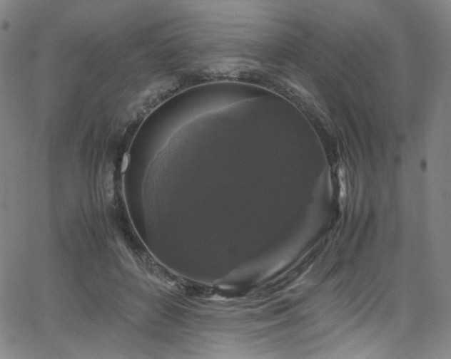 X0000066110504200603101209