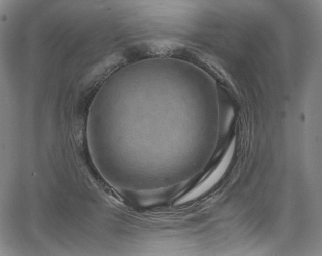 X0000066110505200603101209