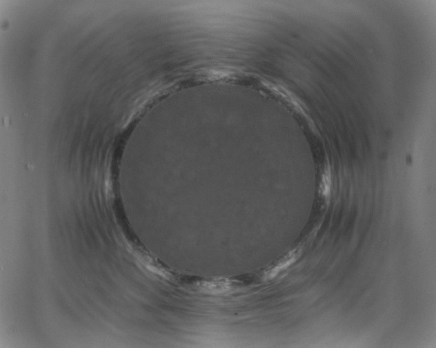 X0000066110524200603101209