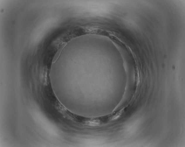 X0000066110525200603101209