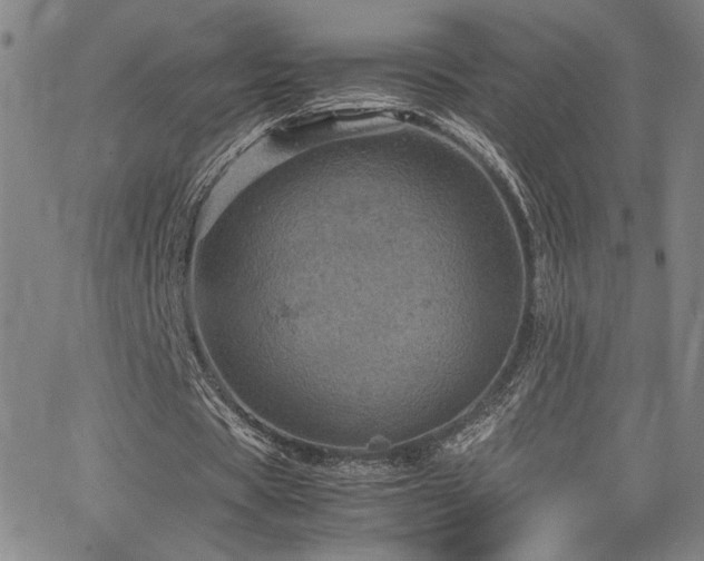 X0000066110529200603101208