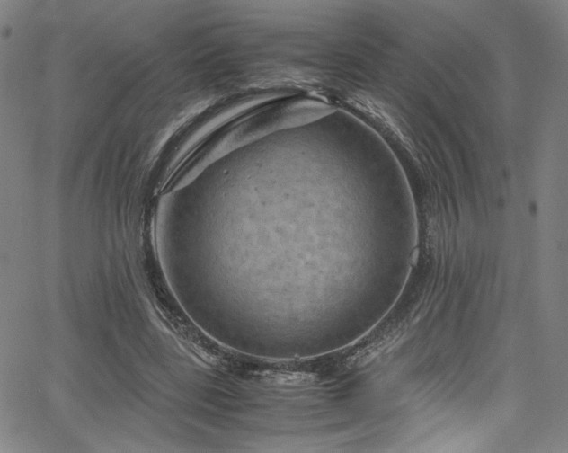 X0000066110539200603101208