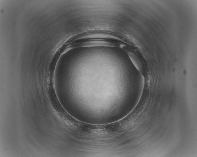 X0000066110544200603101208
