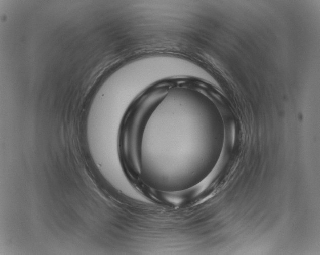 X0000066110548200603101209