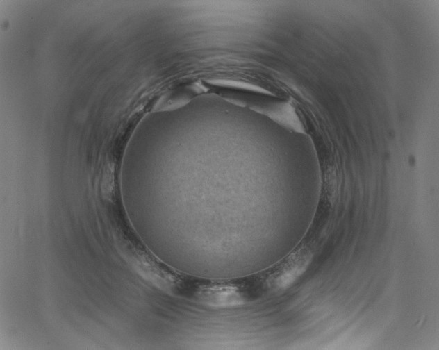 X0000066110554200603101209