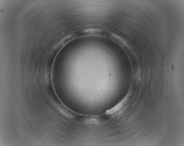 X0000066110572200603101209