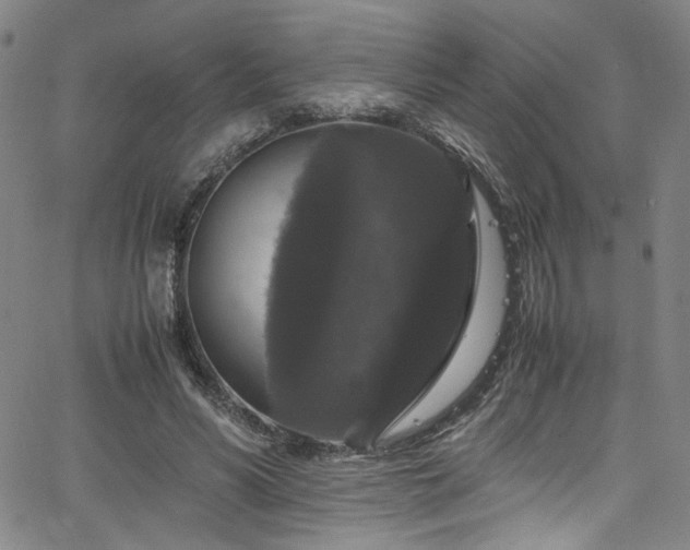 X0000066110590200603101208