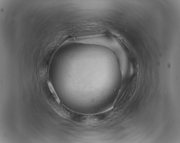 X0000066110601200603101208