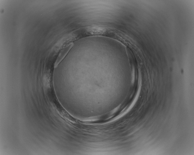X0000066110604200603101208