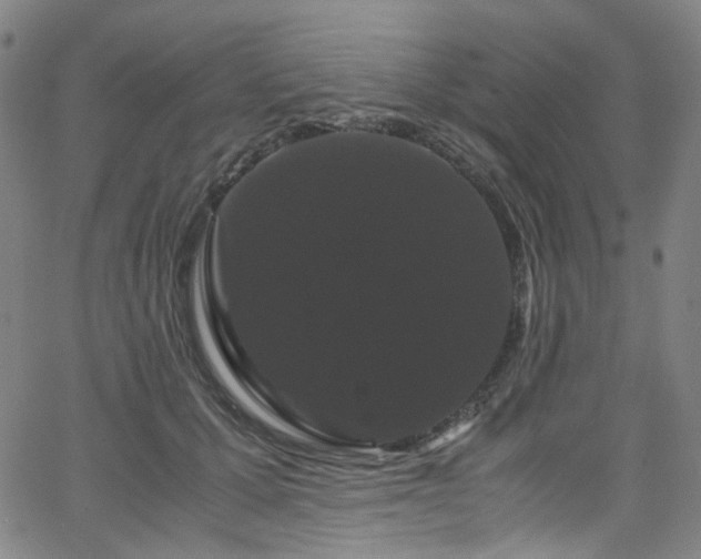 X0000066110607200603101208