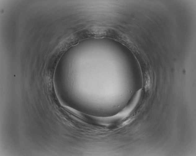 X0000066110609200603101208