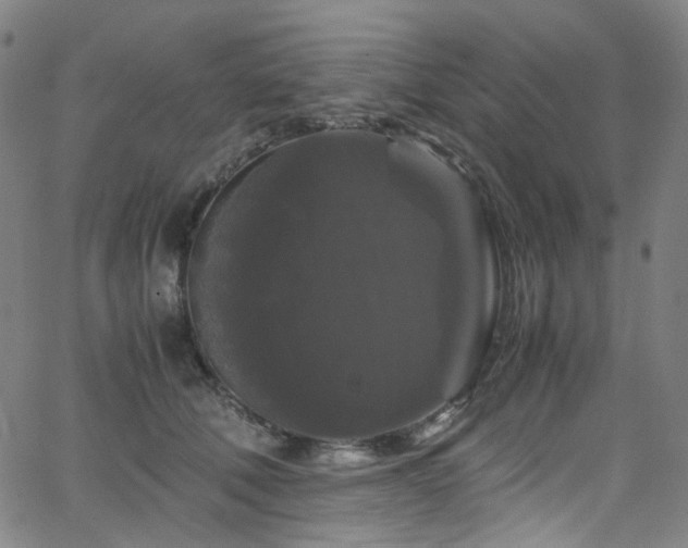 X0000066110610200603101208