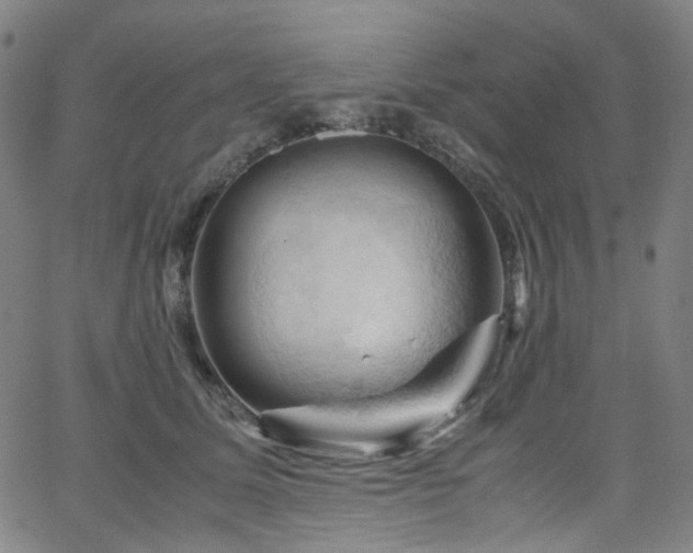 X0000066110611200603101208