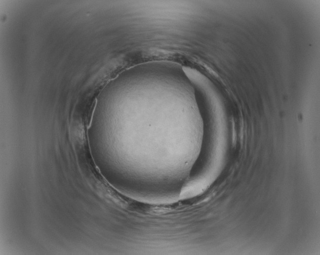 X0000066110617200603101208