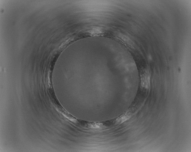X0000066110618200603101208