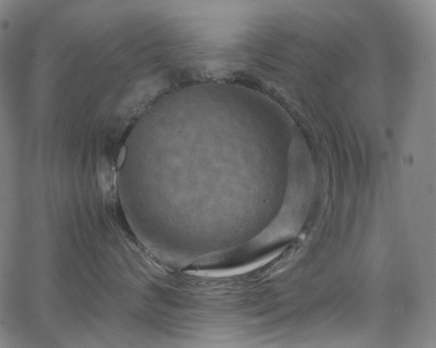 X0000066110624200603101207