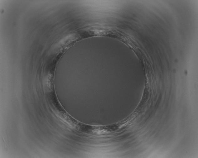 X0000066110650200603101207