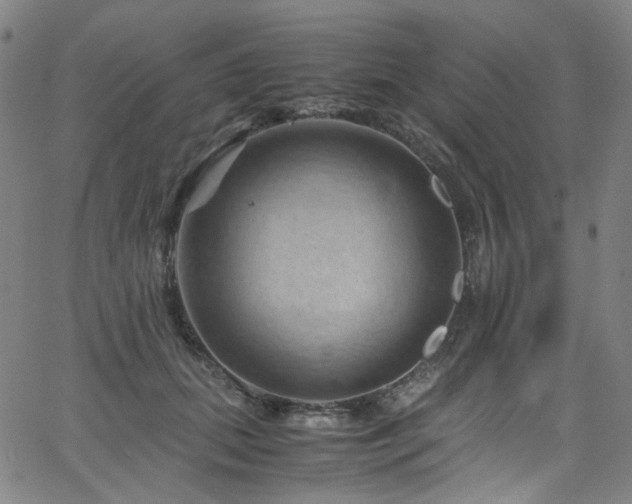 X0000066110655200603101207