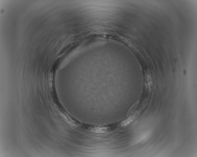 X0000066110664200603101207