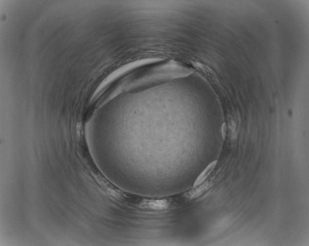 X0000066110665200603101207