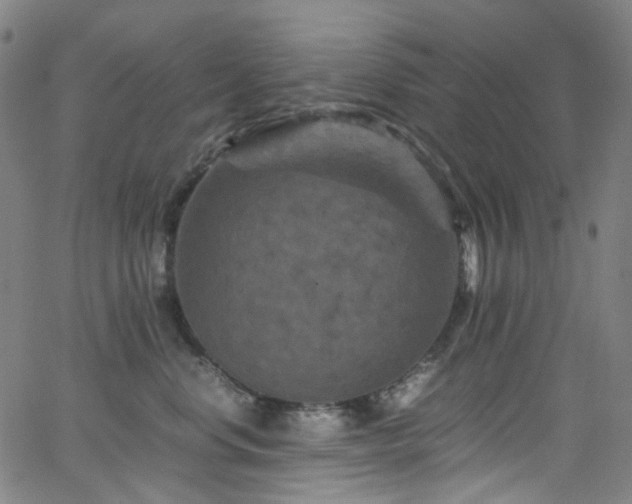 X0000066110668200603101207