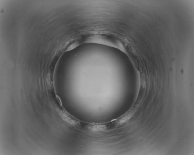 X0000066110670200603101207