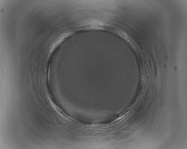 X0000066110677200603101207
