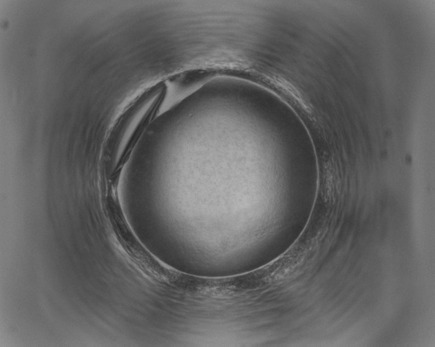 X0000066110680200603101207