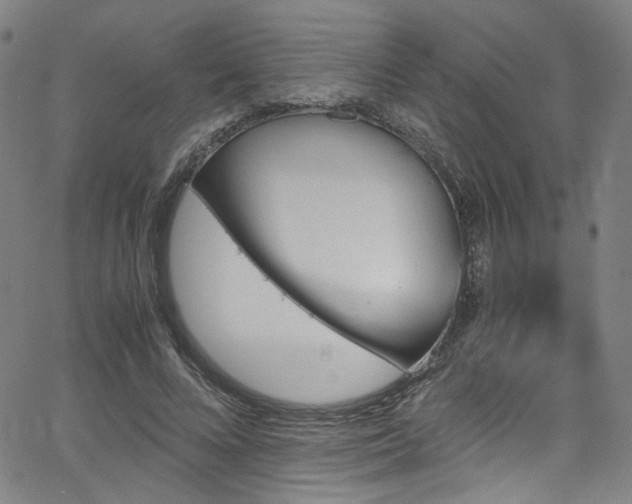 X0000066110688200603101206