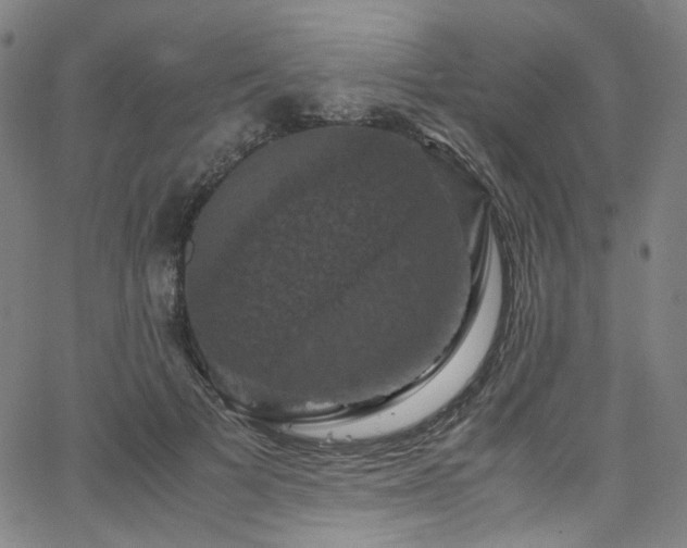 X0000066110697200603101206