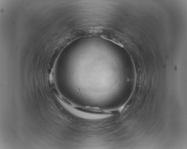 X0000066110704200603101206
