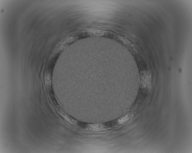 X0000066110713200603101206