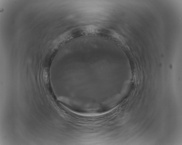 X0000066110715200603101206