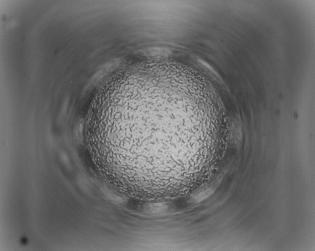 X0000066110717200603101206