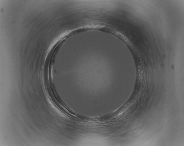 X0000066110726200603101205