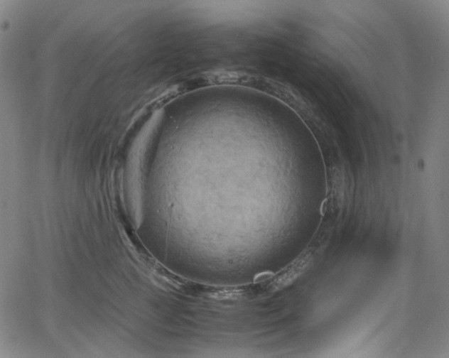 X0000066110761200603101206