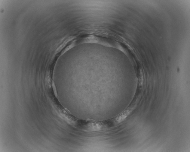 X0000066110764200603101206