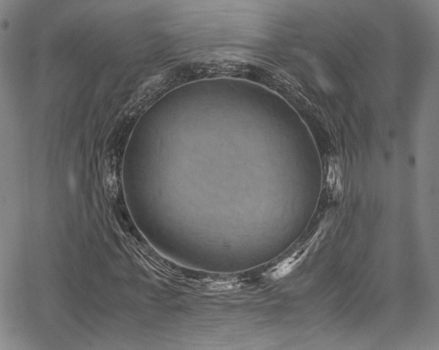 X0000066110771200603101205