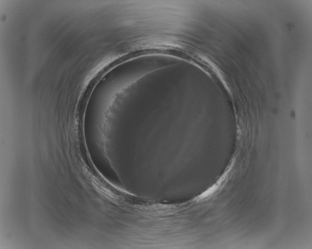 X0000066110779200603101205