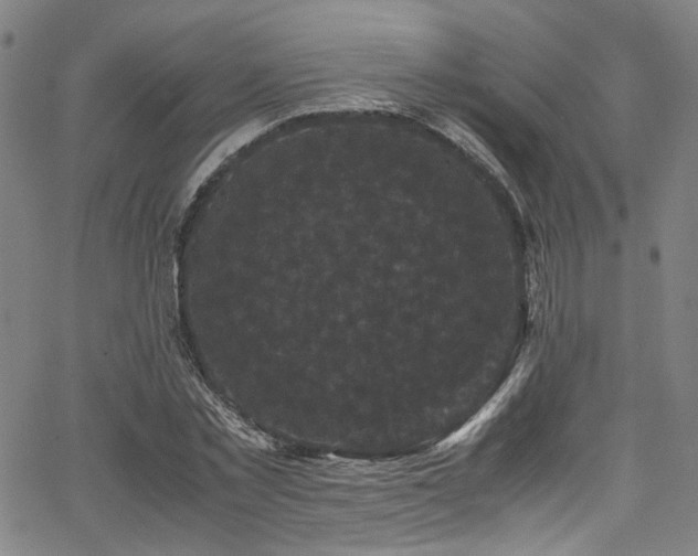 X0000066110781200603101205