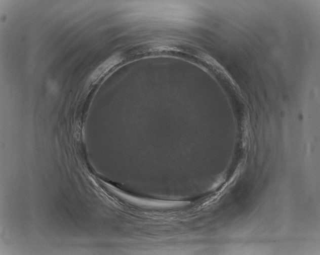 X0000066110785200603101205