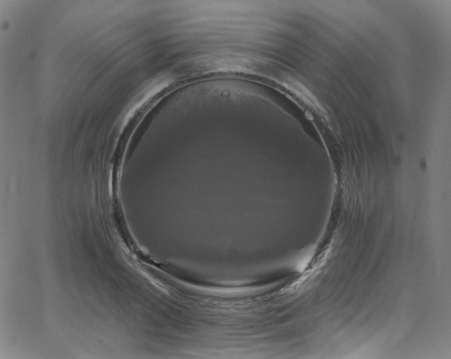 X0000066110790200603101205