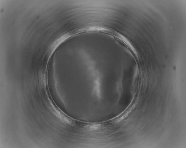 X0000066110810200603101204