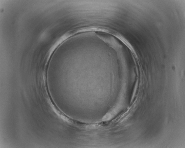 X0000066110813200603101204