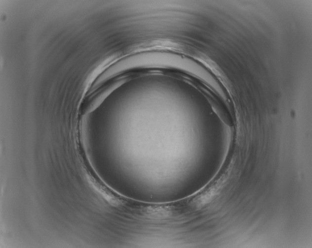 X0000066110850200603101204