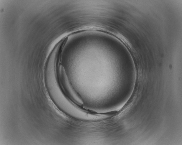 X0000066110854200603101204