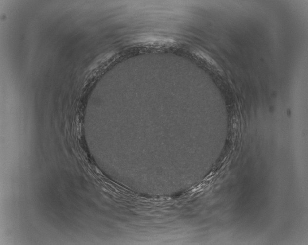 X0000066110869200603101203